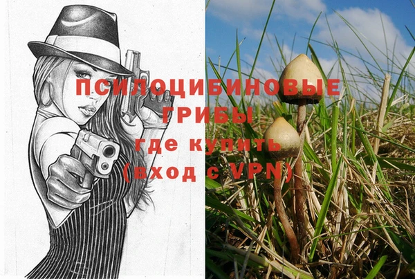 apvp Абдулино