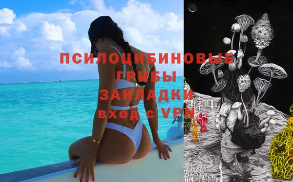 apvp Абдулино