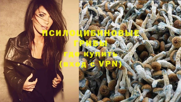 соль курить ск Абаза